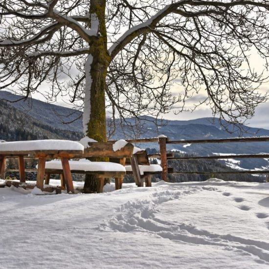 Impressionen vom Kircherhof in Südtirol/Brixen und Umgebung