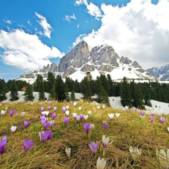 Impressionen vom Kircherhof in Südtirol/Brixen und Umgebung